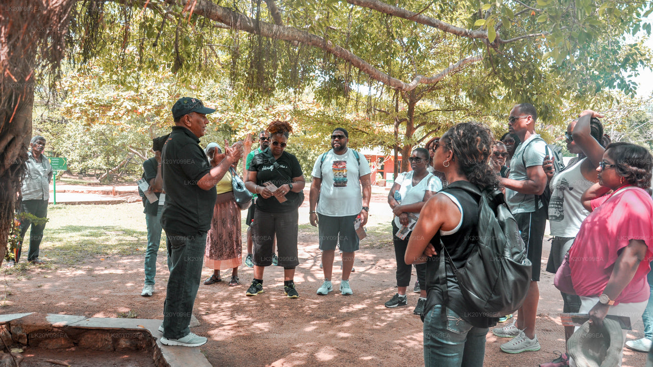 المرشدين المحليين