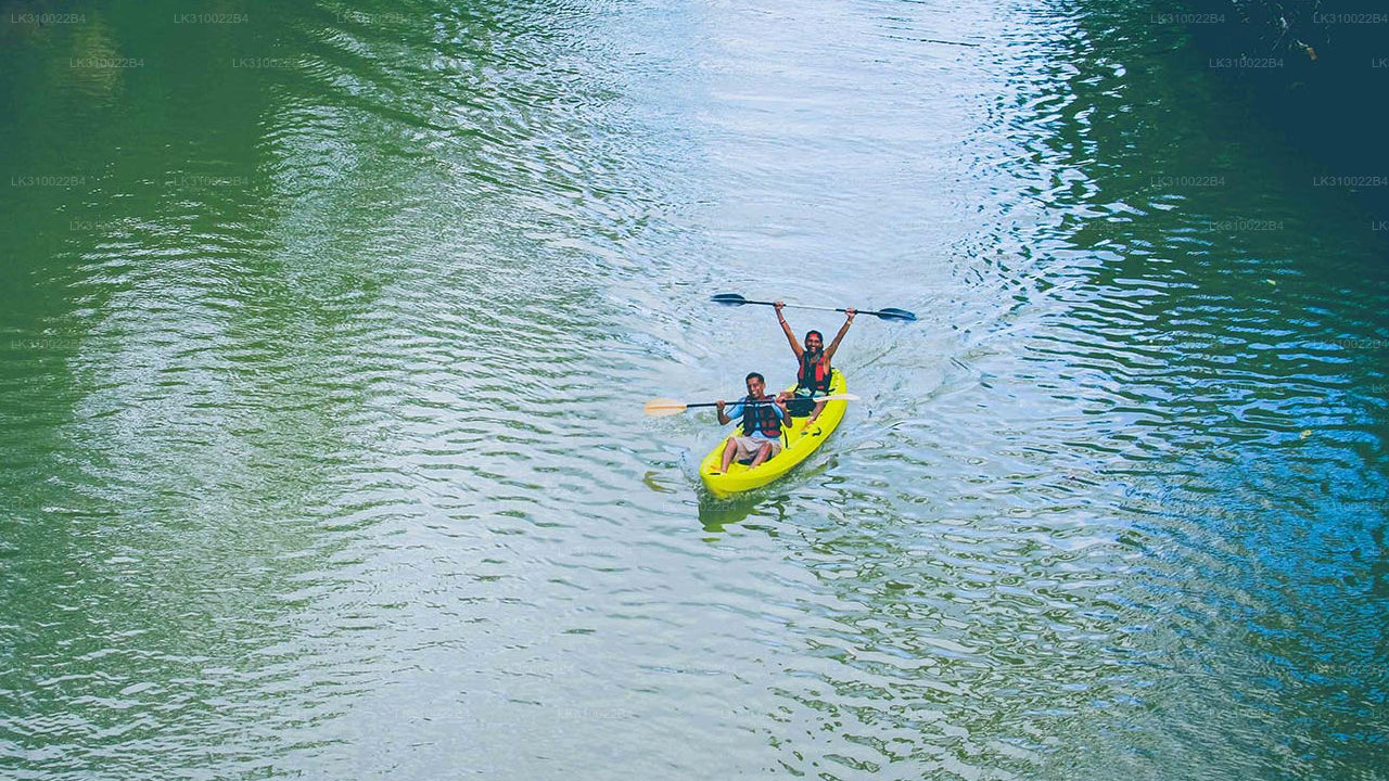 Flat Water Kayaking from Kitulgala