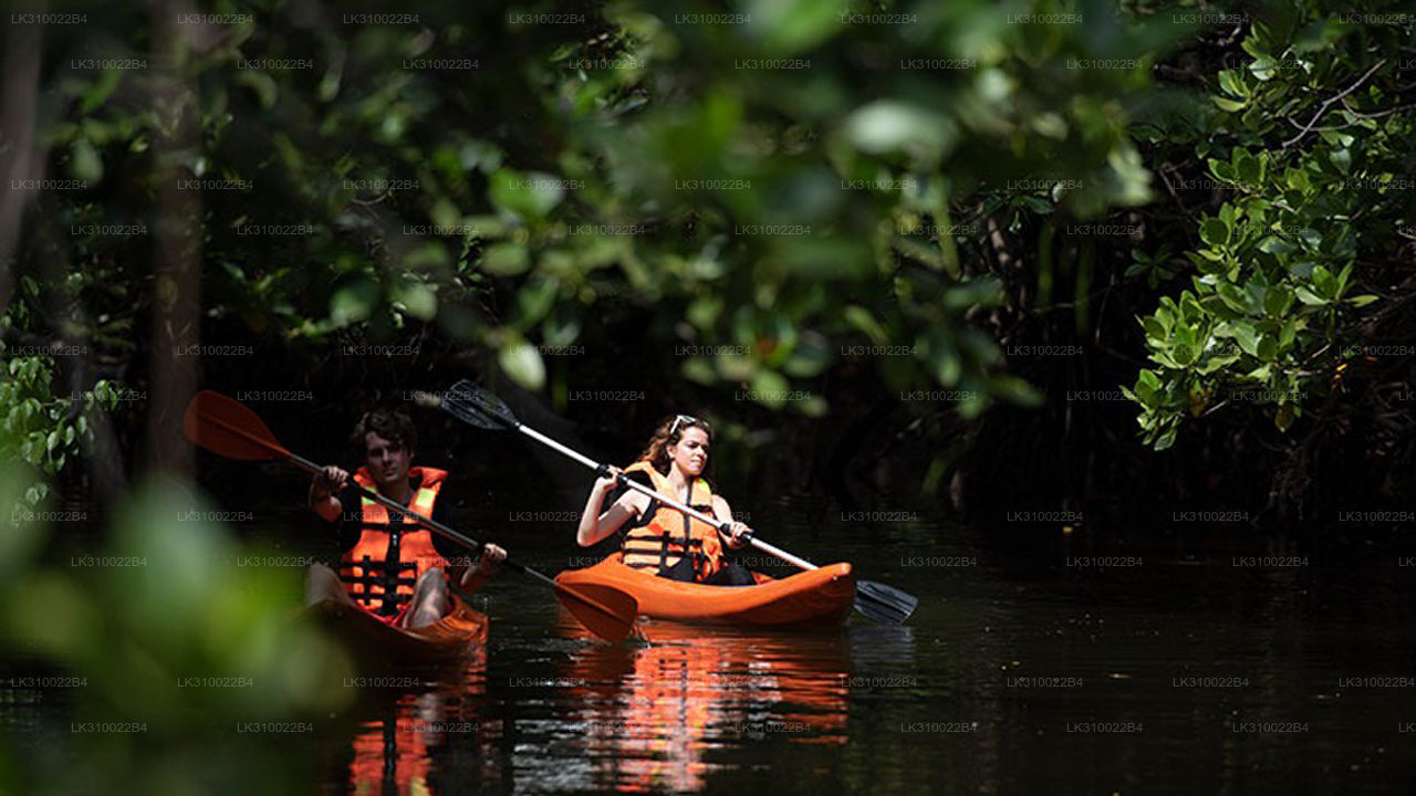 Flat Water Kayaking from Kitulgala