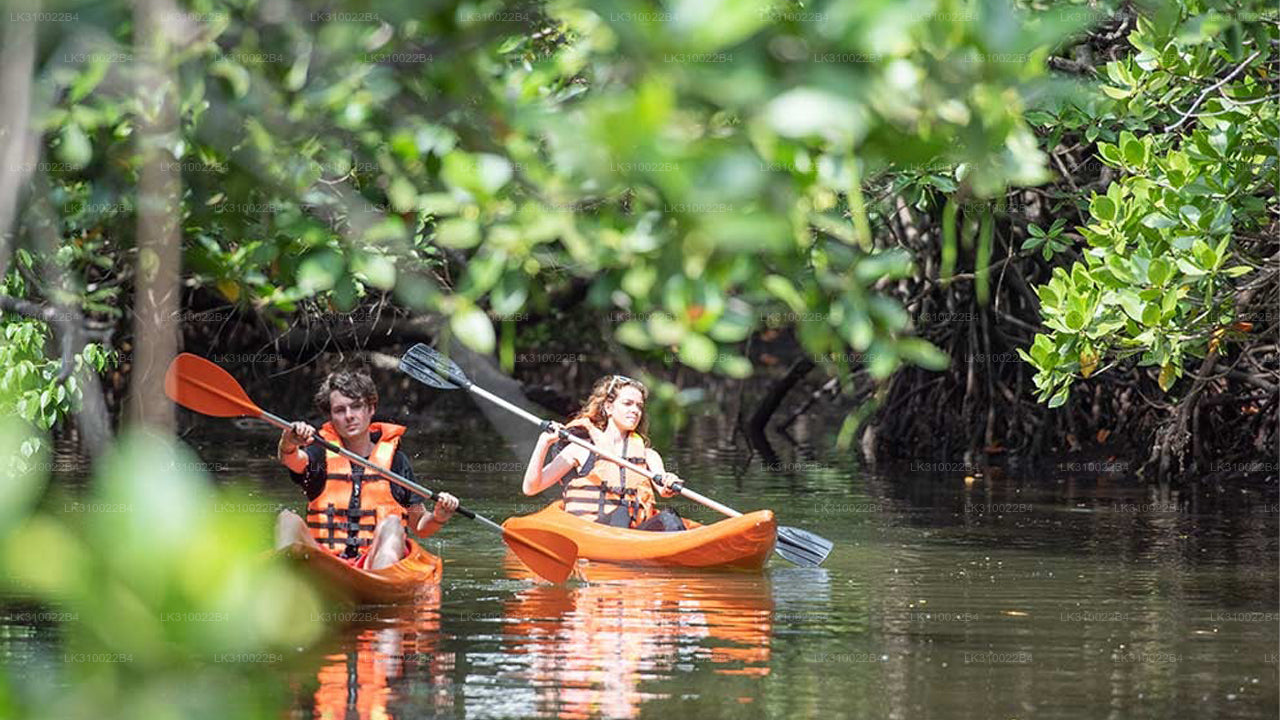 Flat Water Kayaking from Kitulgala