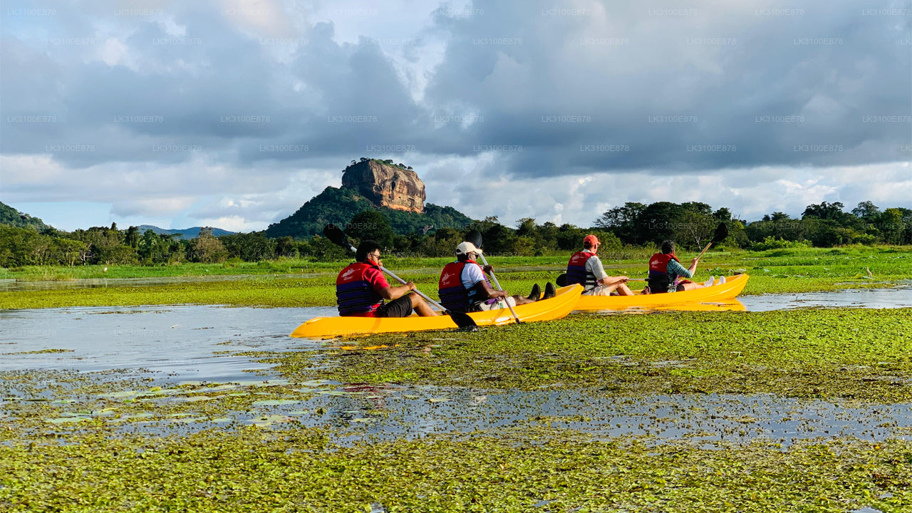 Four people in yellow kayaks paddling on a river with a large rock formation in the background.