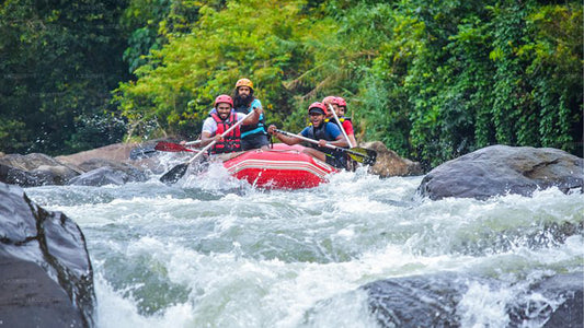 Group of people white water rafting in a forested area