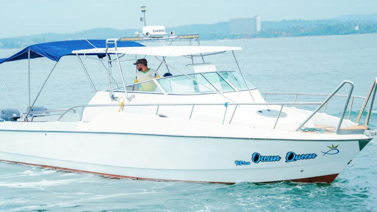 Private Fishing Tour by Luxury Speedboat from Mirissa