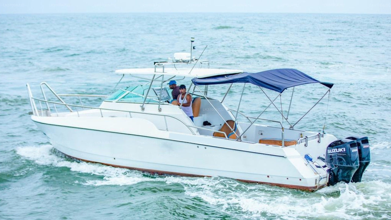 Private Fishing Tour by Luxury Speedboat from Mirissa