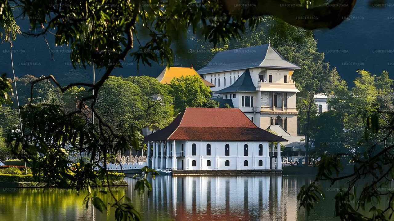 من إيلا إلى كاندي: رحلة خلابة بالقطار والسيارة أو الحافلة