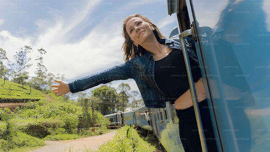 Woman leaning out of a car window with a scenic background