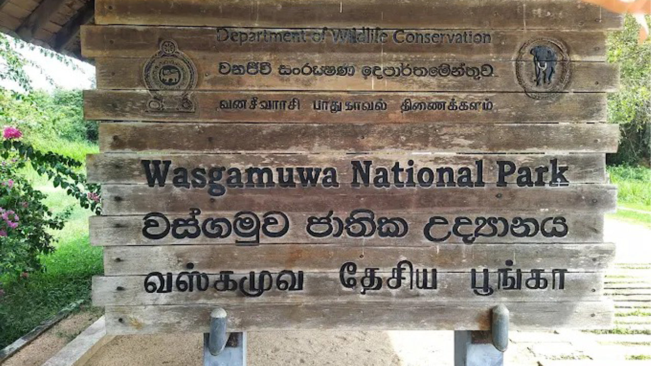 Polonnaruwa and Wasgamuwa Wildlife Safari from Pasikuda