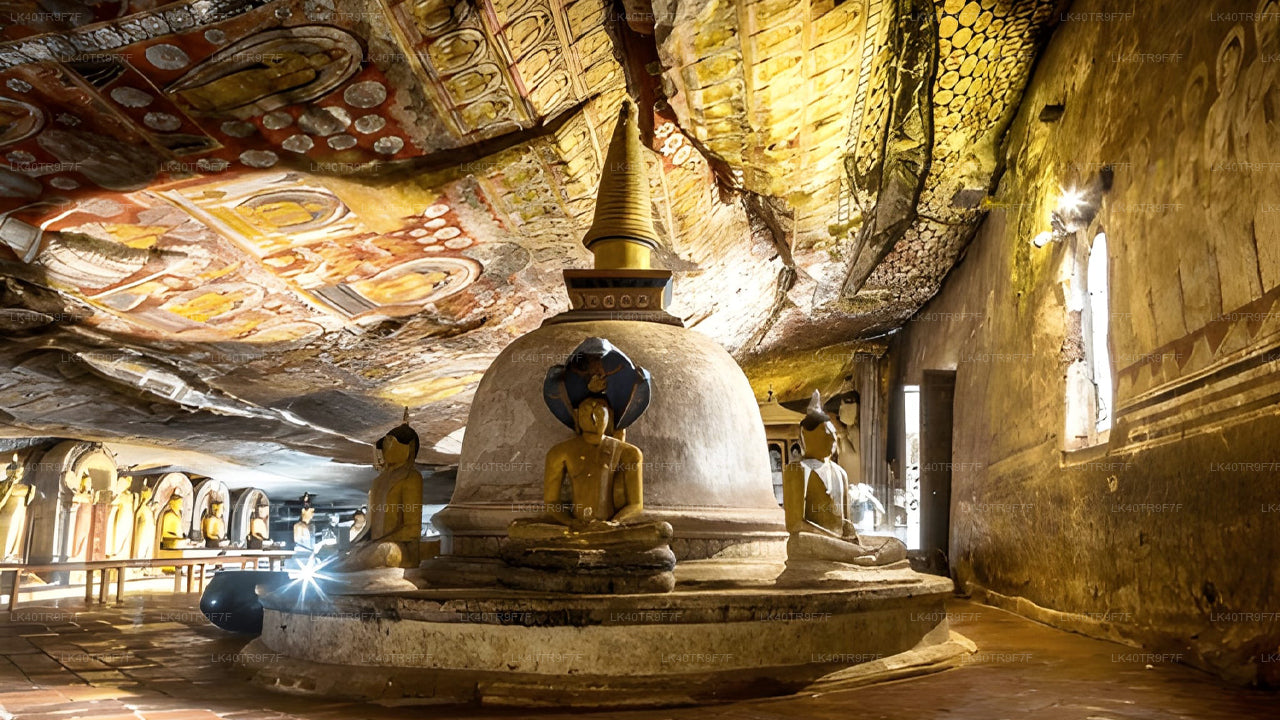 نقل خاص من كولومبو إلى سيجيريا مع توقف لمشاهدة المعالم السياحية