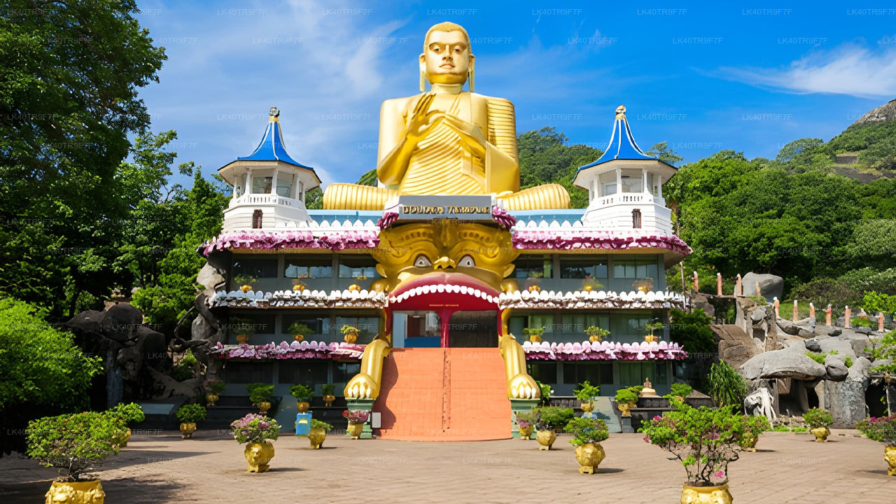 نقل خاص من كولومبو إلى سيجيريا مع توقف لمشاهدة المعالم السياحية