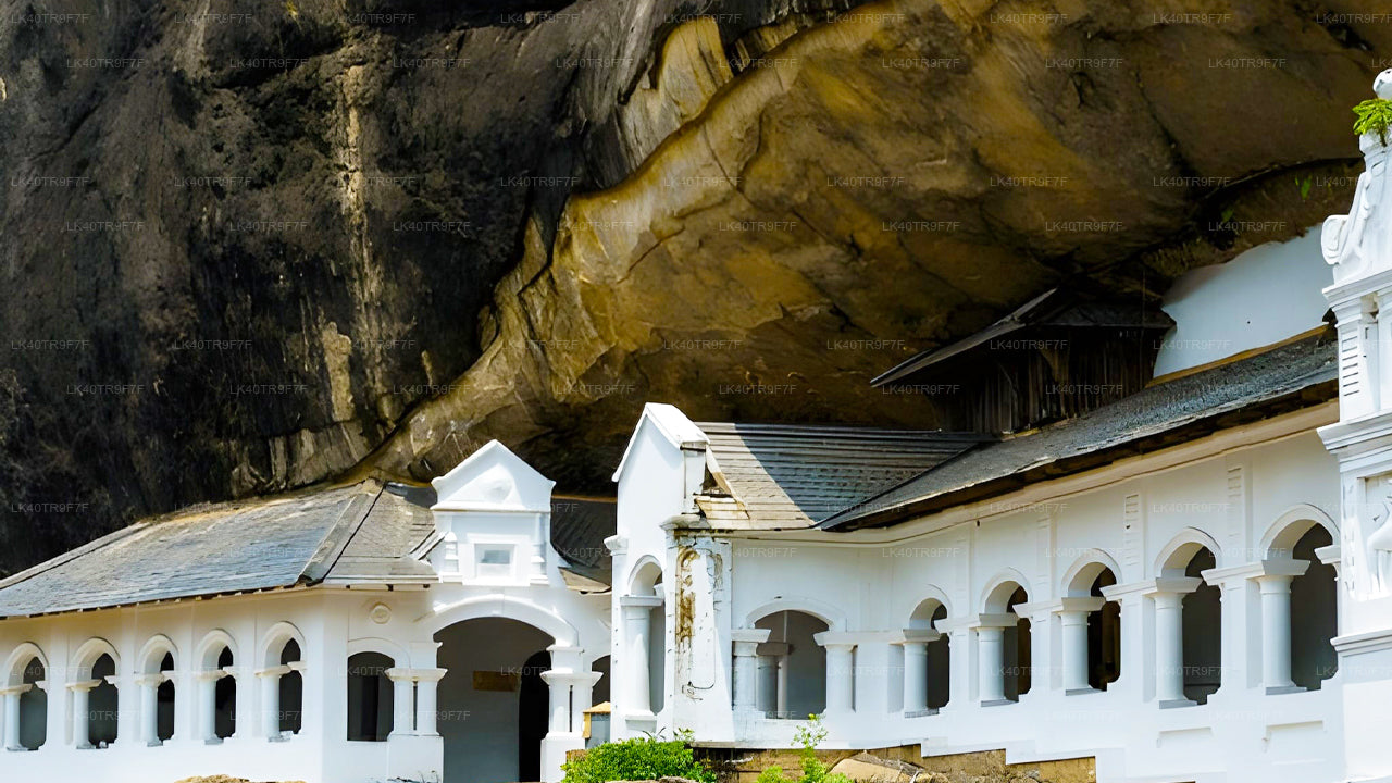 نقل خاص من كولومبو إلى سيجيريا مع توقف لمشاهدة المعالم السياحية