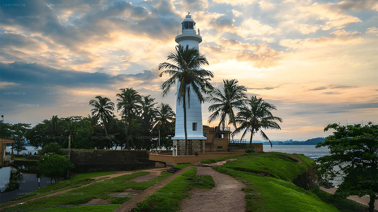 Private Transfer from Negombo to Hiriketiya with Sightseeing Stops