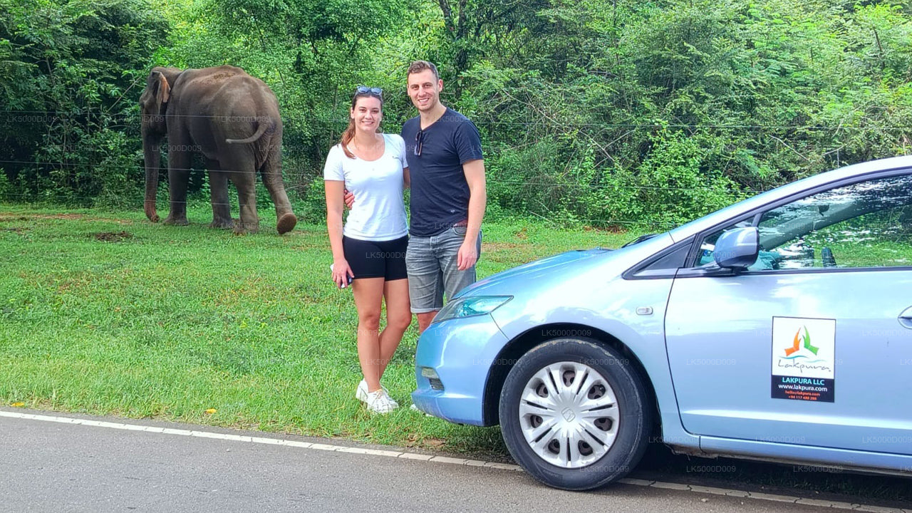 Private Tour from Galle to Ella with Udawalawe Safari