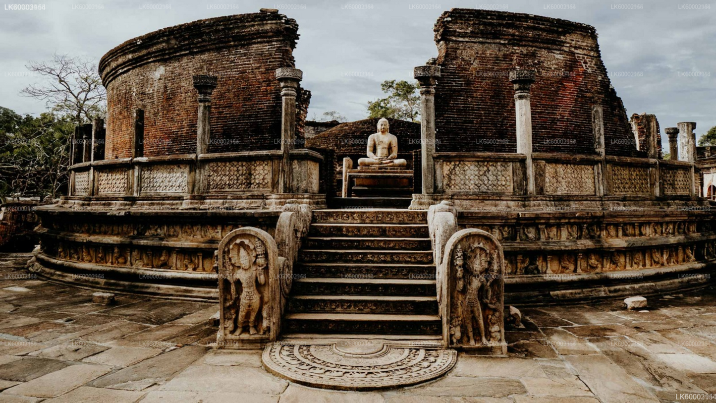 Polonnaruwa Heritage and Hurulu Eco Park Safari from Trincomalee