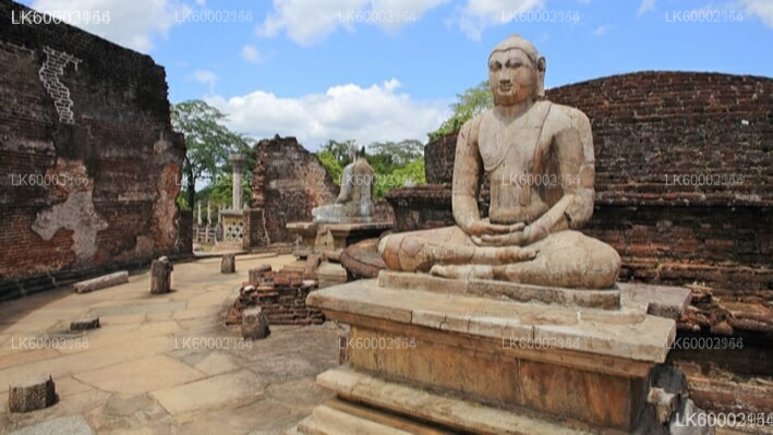 Polonnaruwa Heritage and Hurulu Eco Park Safari from Trincomalee