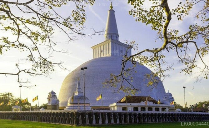 Anuradhapura and Polonnaruwa Ancient Cities Tour from Trincomalee