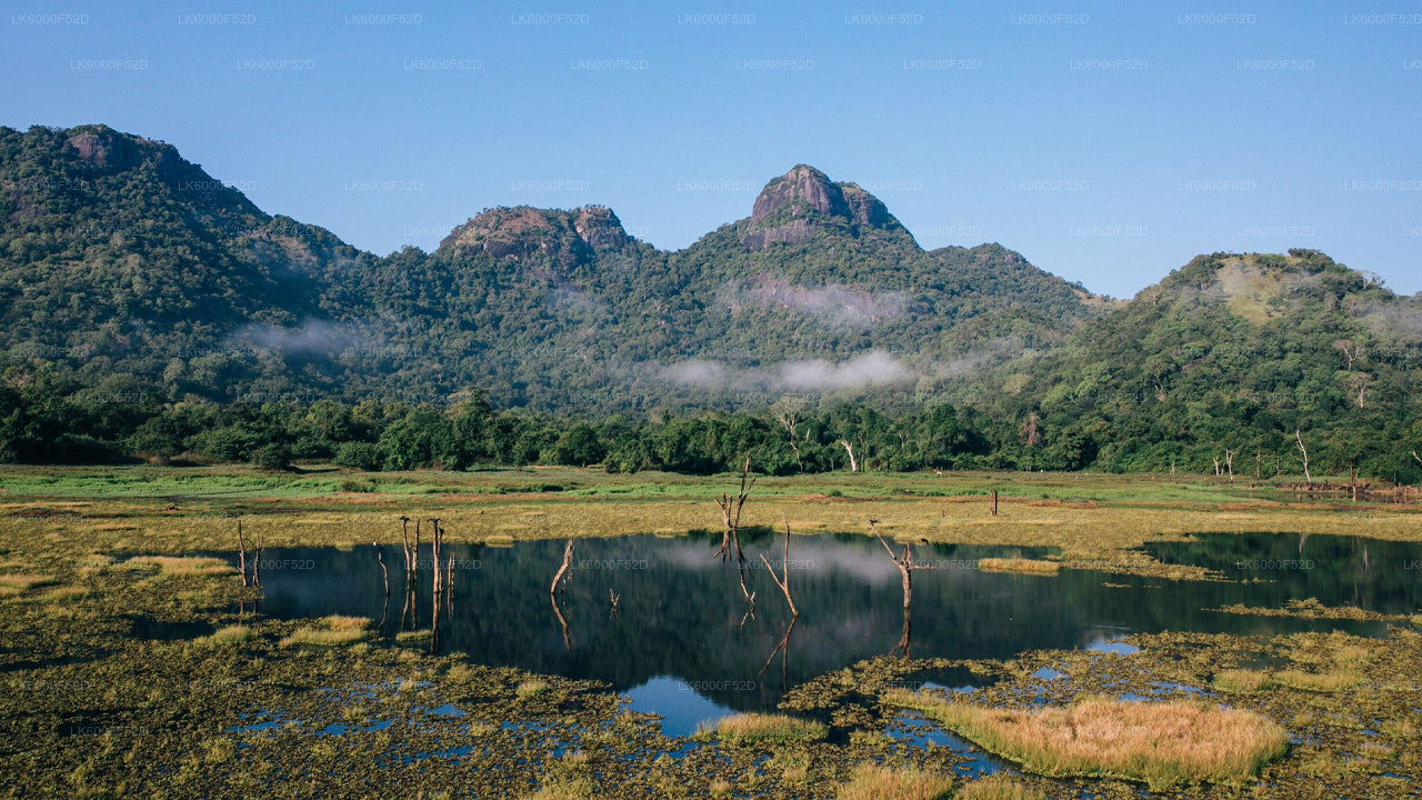 Camping Experience in Gal Oya (3 Days)