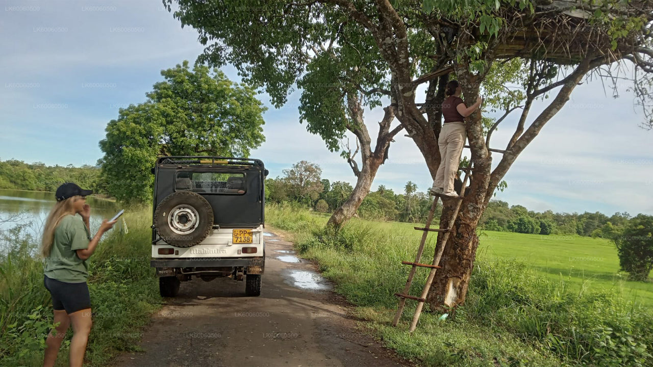 Hiriwadunna Village Tour from Habarana