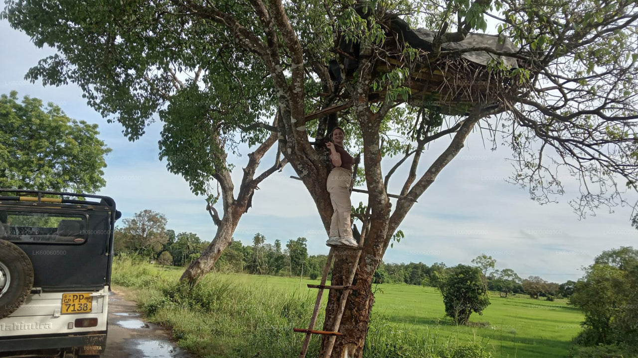 Hiriwadunna Village Tour from Habarana
