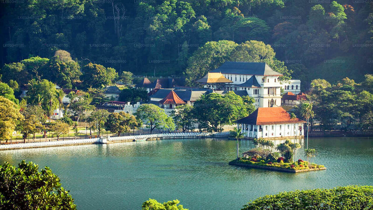 A scenic view of Kandy cityscape with a body of water, green hills, and historical buildings, including a temple and a royal palace.
