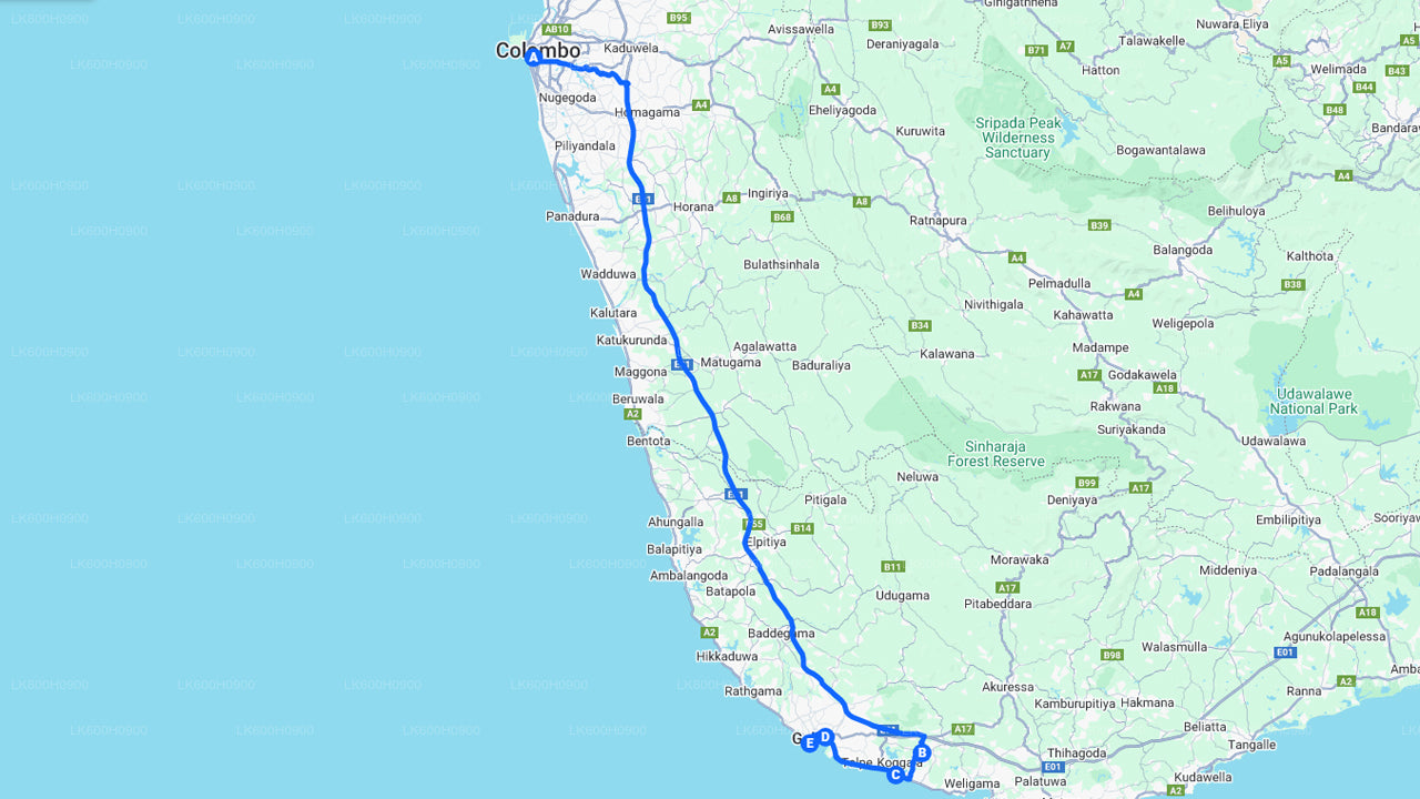 Southern Coast Highlights from Colombo