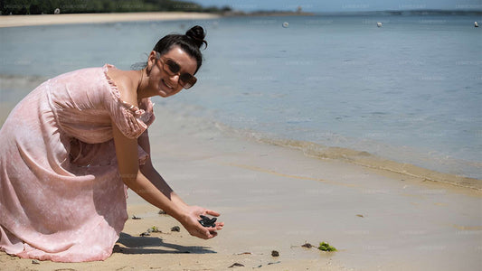 إطلاق سلحفاة صغيرة من كوسغودا