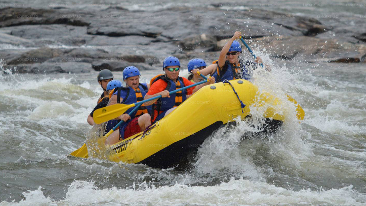 Colombo City to Nuwara Eliya City Private Transfer with Rafting Adventure