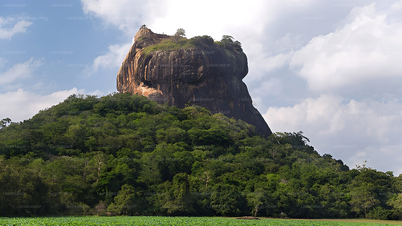 Sigiriya Rock, a large rock formation with a castle on top, surrounded by greenery under a blue sky.