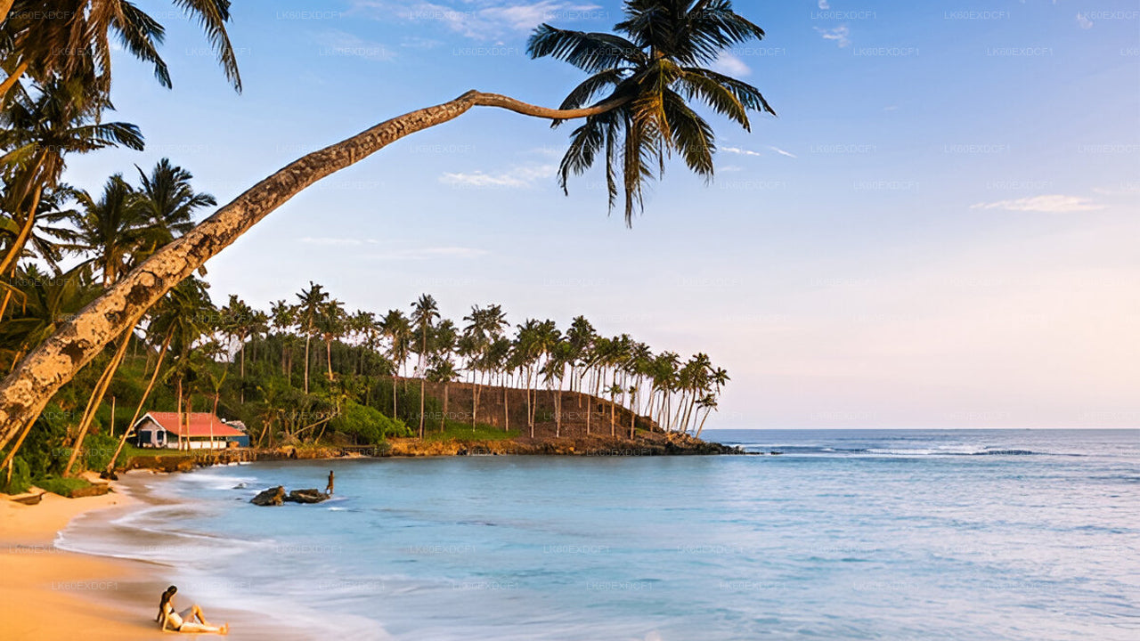 Private Tour from Ella to Mirissa with Udawalawe Safari