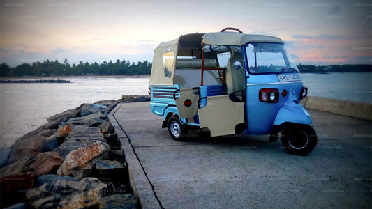 عدد الأشخاص