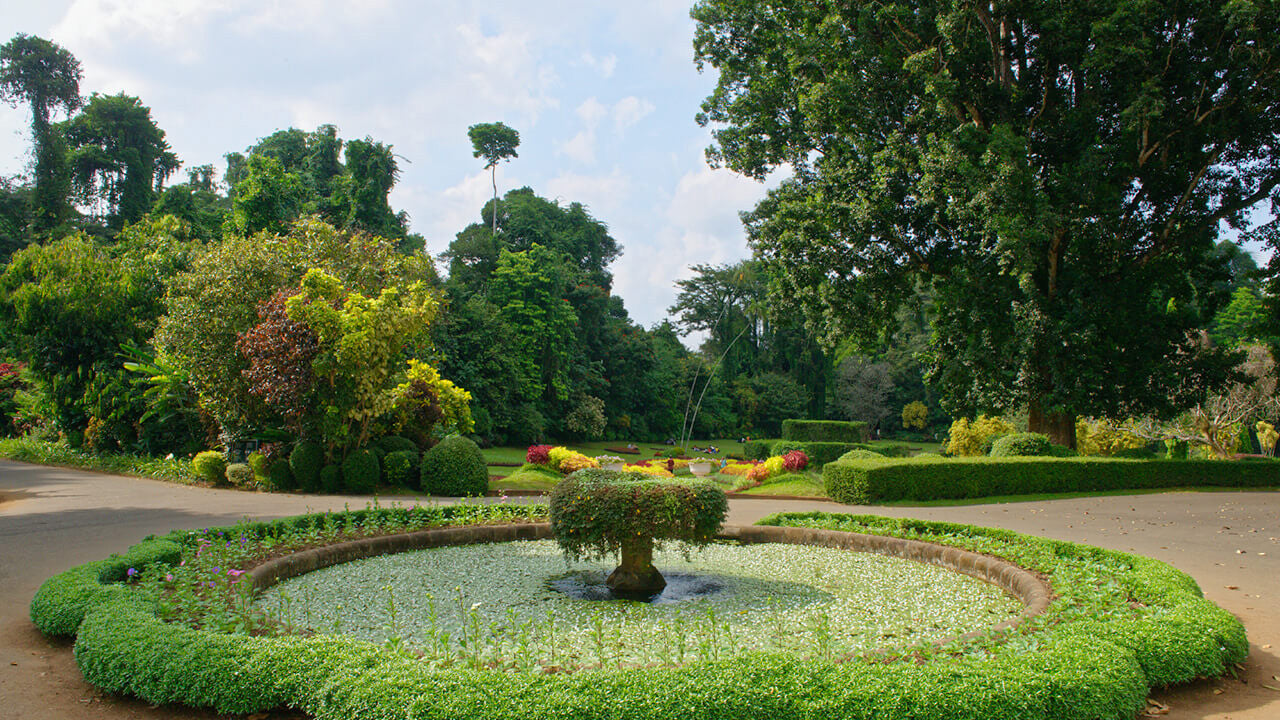 Peradeniya botanical garden Entrance Tickets