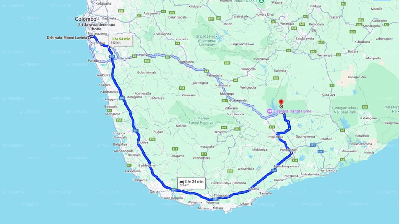 Birdwatching at Udawalawe National Park from Mount Lavinia