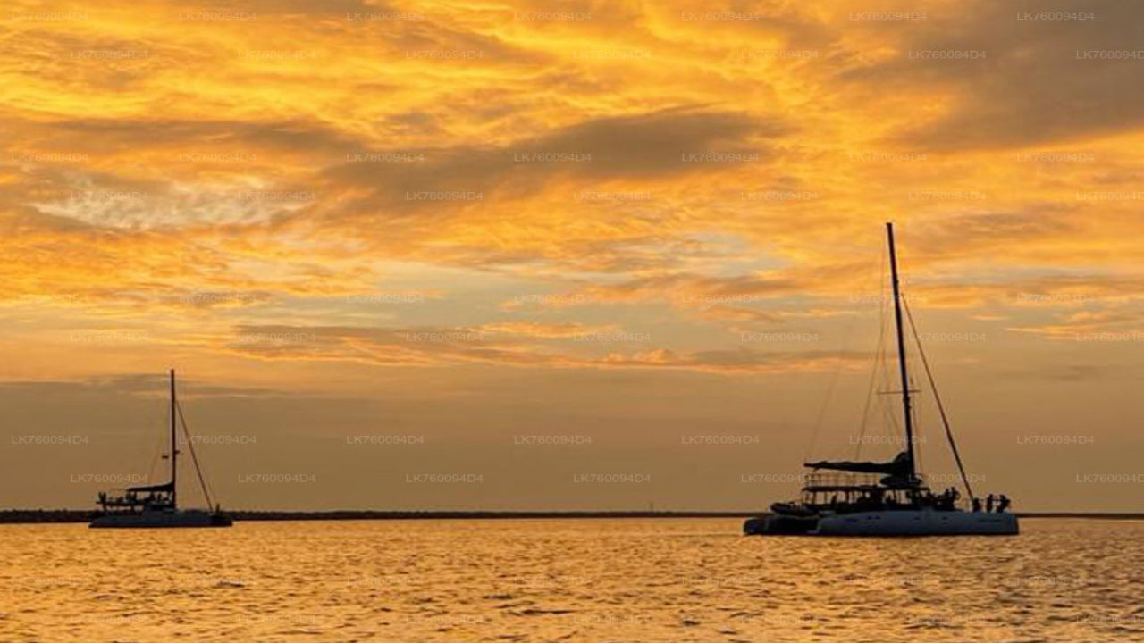 3-hour Private Sunset Cruise from Mirissa