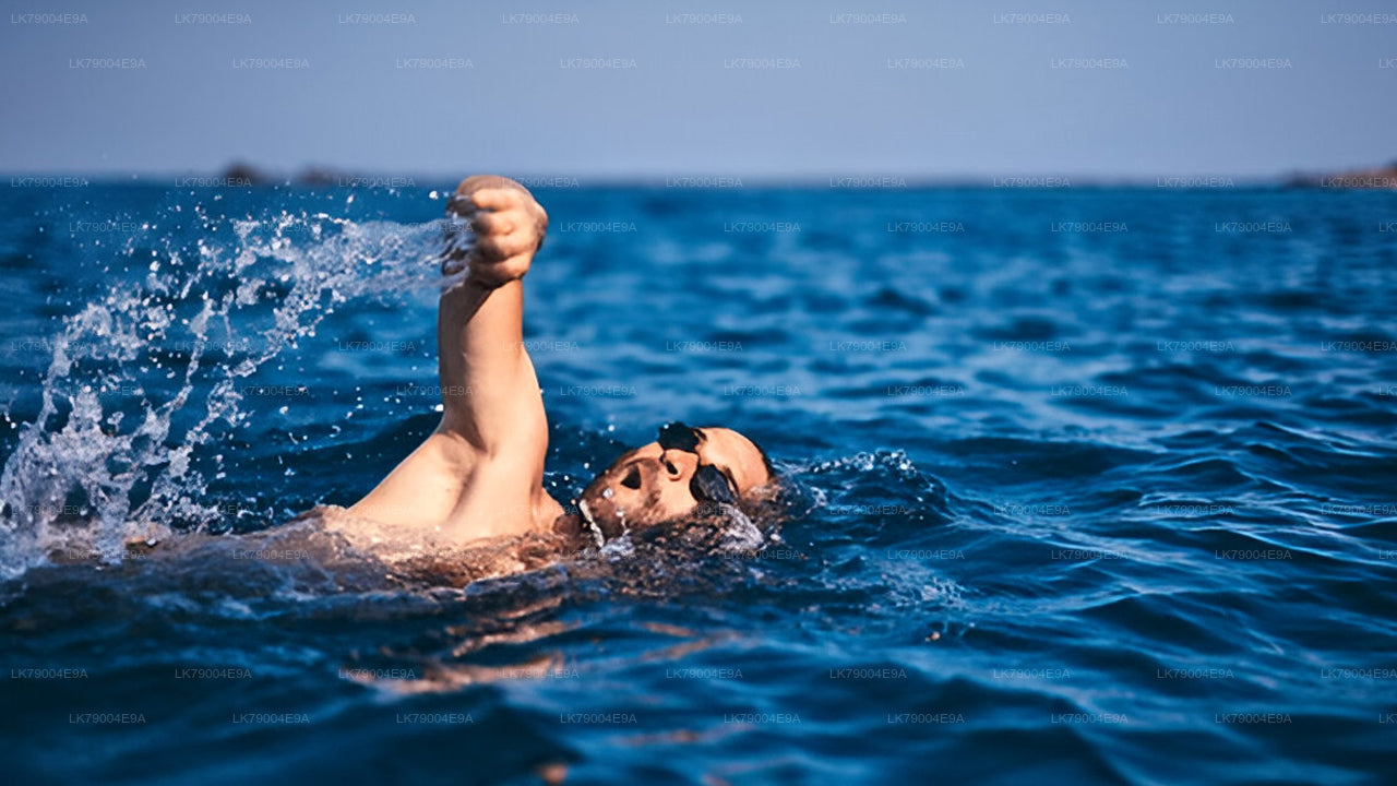 3 hour Shared Sunset Cruise from Galle