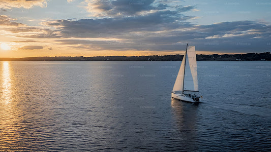 Sunset Cruise from Mirissa on a Shared Boat