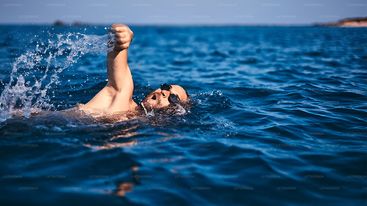 Private Sailing Experience from Colombo