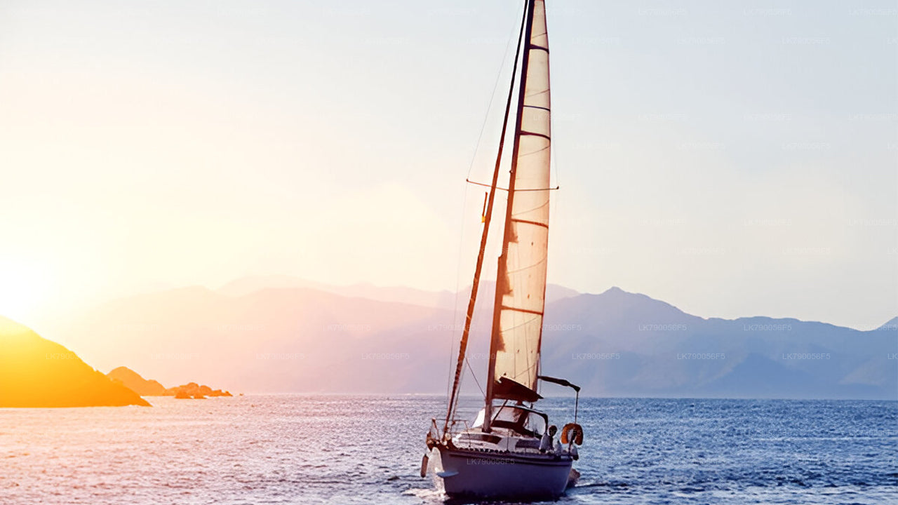 3-Hour Shared Sunset Cruise From Pasikuda