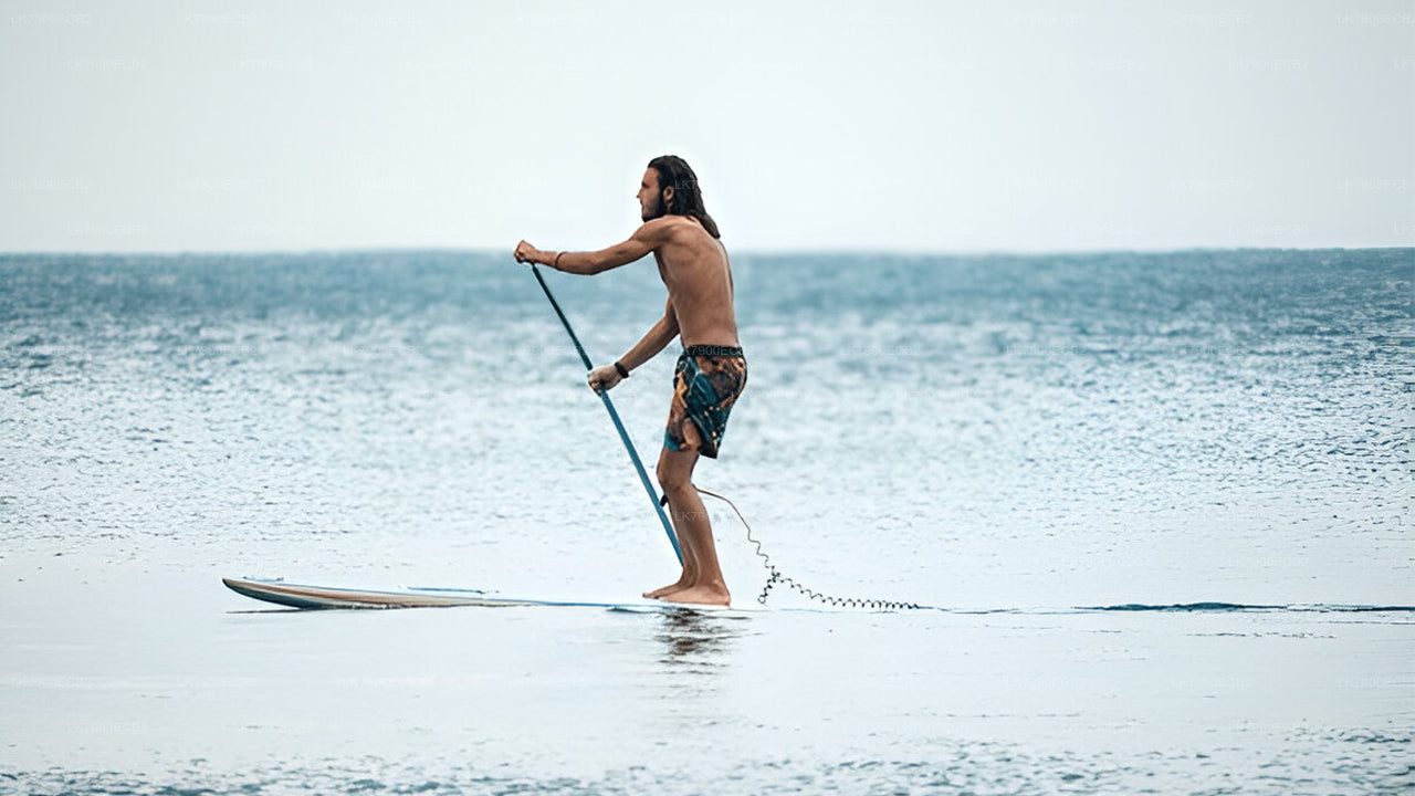 6-Night Cruise Experience from Mirissa on Ocean Diamond