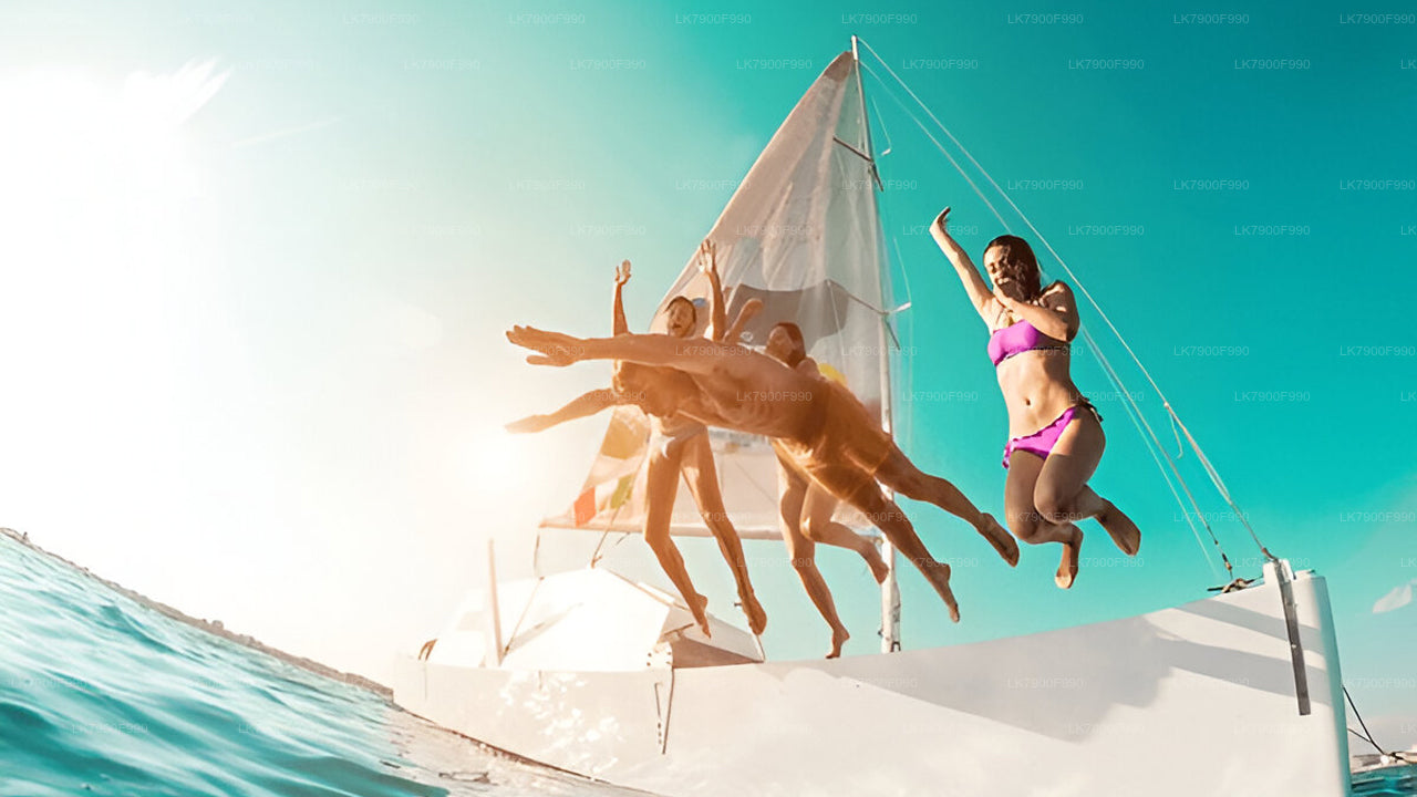 7 Hour Private Whale Watching Cruise From Mirissa