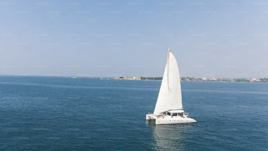 7 Hour whale watching shared cruise from Trincomalee