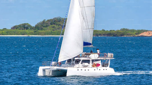 7 Hour whale watching cruise from Trincomalee