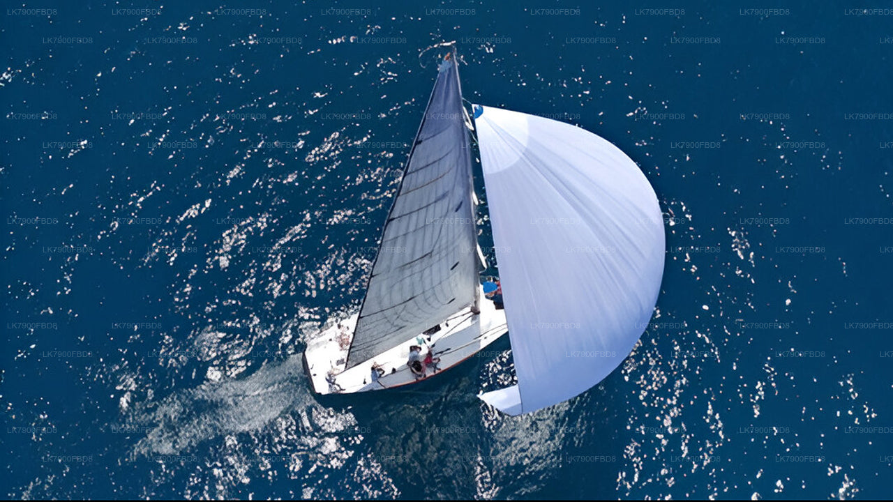 6 Night Cruise Vacation in Mirissa