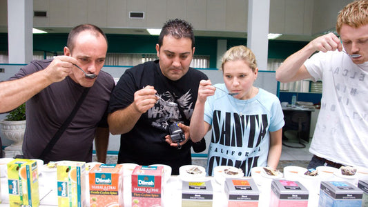 Ceylon Tea Tasting from Colombo