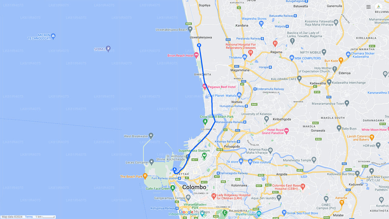 Bird Watching Boat Ride at Muthurajawela Marsh from Colombo Seaport