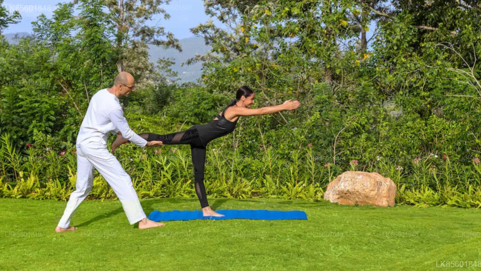 Waterfall Yoga Experience from Bandarawela