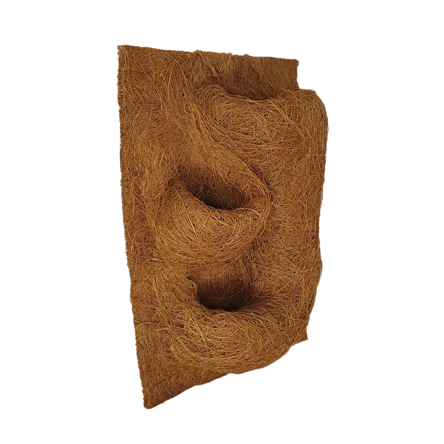 خلفية زراعة جوز الهند الطبيعية من بيفينرو (20 سم × 30 سم)