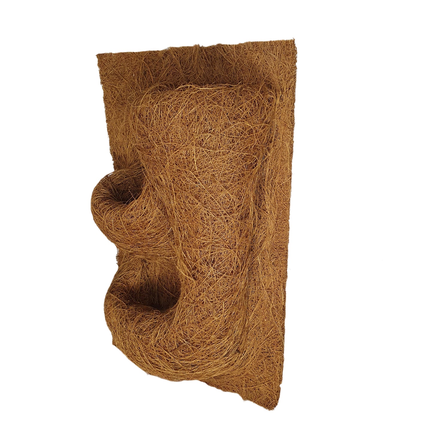 خلفية زراعة جوز الهند الطبيعية من بيفينرو (20 سم × 30 سم)