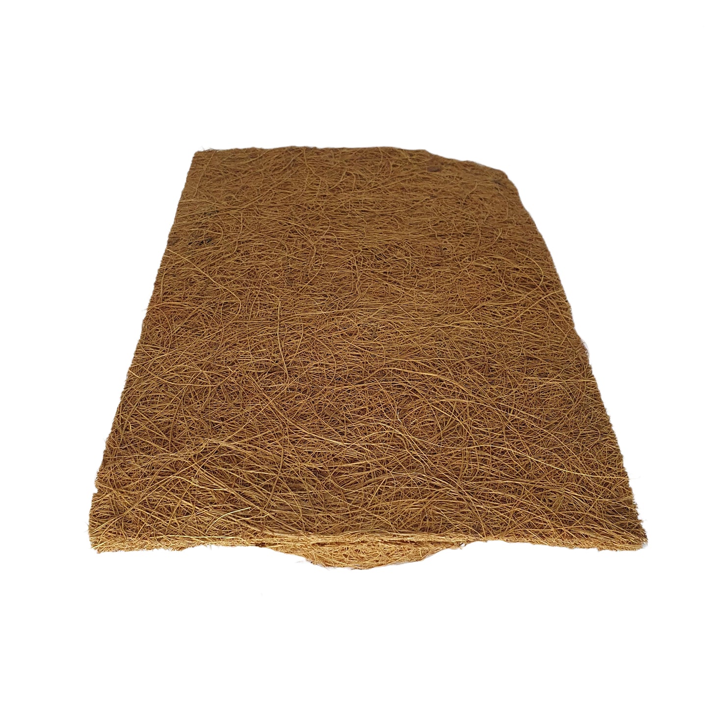 خلفية زراعة جوز الهند الطبيعية من بيفينرو (20 سم × 30 سم)