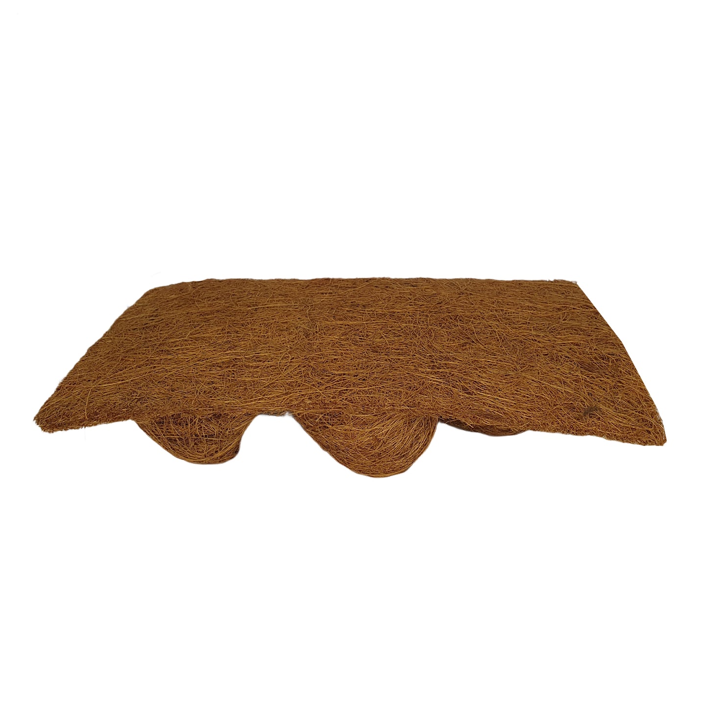 خلفية زراعة جوز الهند الطبيعية من بيفينرو (20 سم × 30 سم)