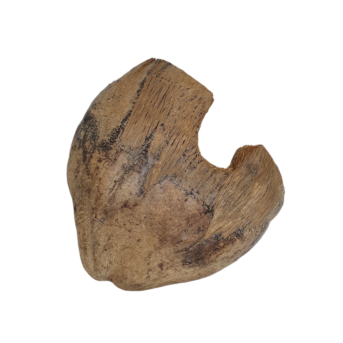 مخبأ بيفينرو ناتشورال 3/4 للكاكاو بتصميم قشر (مقاس مجاني)