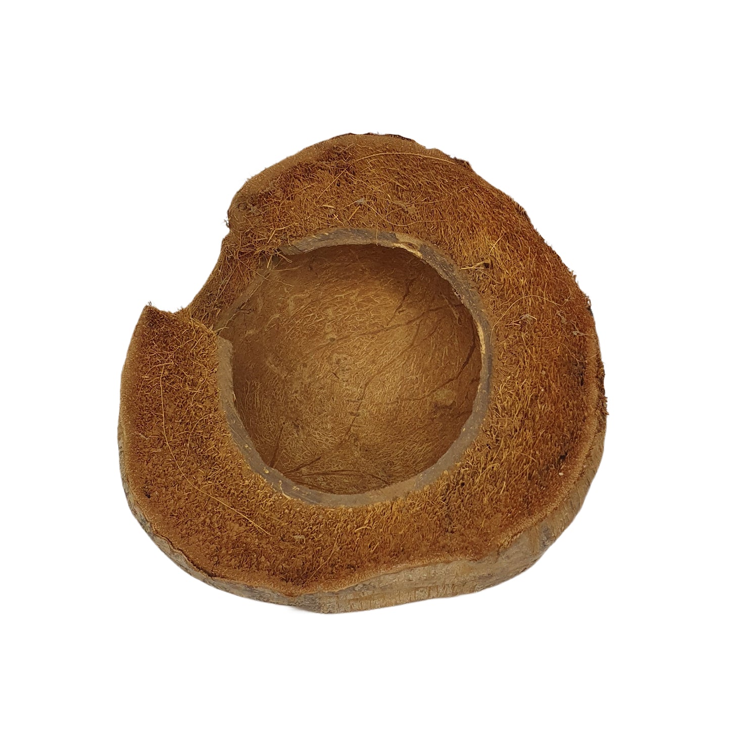 مخبأ بيفينرو ناتشورال 3/4 للكاكاو بتصميم قشر (مقاس مجاني)